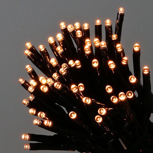 Floristik24 LED Reislichterkette 80er 9m für außen Warmweiß