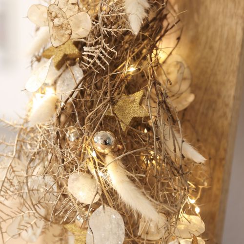 Trockenblumen Lagurus Natur – Flauschiges Hasenschwanzgras in Creme-Weiß 55-70cm 100g | Floristik24.de