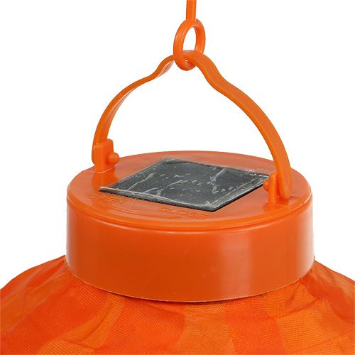Floristik24 Lampion LED mit Solar 20cm Orange