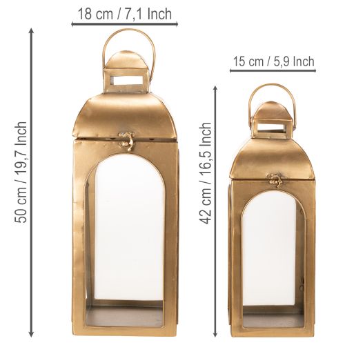 Laterne Metall Glas Metall Messing Optik H50cm 2er-Set | Floristik24.de