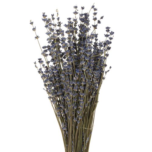 Lavendel Trockenblumen Deko Natur 100g 40cm 100g × 2St