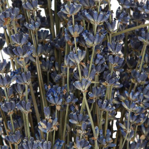 Floristik24 Lavendel Trockenblumen Deko Natur 100g 40cm 100g × 2St