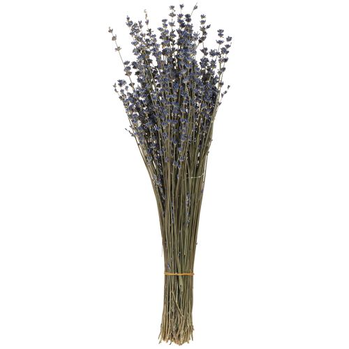 Floristik24 Lavendel Trockenblumen Deko Natur 100g 40cm 100g × 2St
