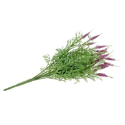 Floristik24 Lavendelbusch Lila 43cm