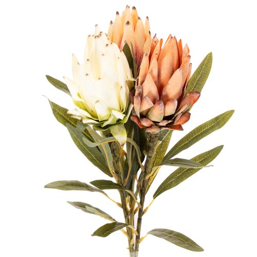 Kunstblume Protea Leucadendron mit langem Stiel 65cm 3St kaufen | Floristik24.de