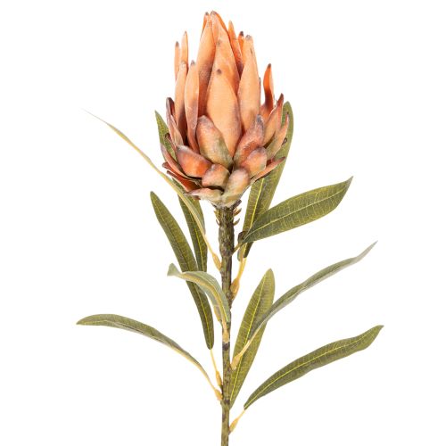 Kunstblume Protea Leucadendron mit langem Stiel 65cm 3St | Floristik24.de