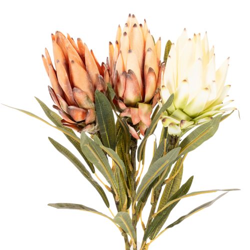 Kunstblume Protea Leucadendron mit langem Stiel 65cm 3St | Floristik24.de