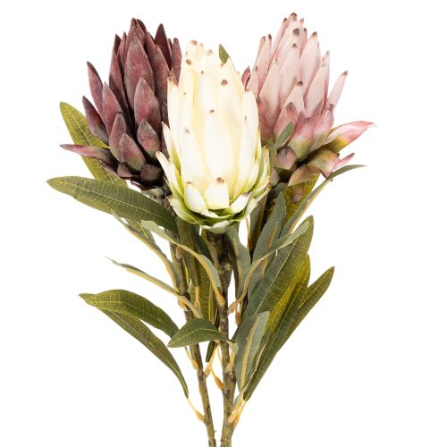 Protea Kunstblume Leucadendron 100cm 3St | Floristik24.de