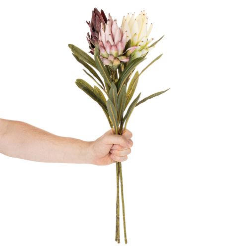 Protea Kunstblume Leucadendron 100cm 3St | Floristik24.de