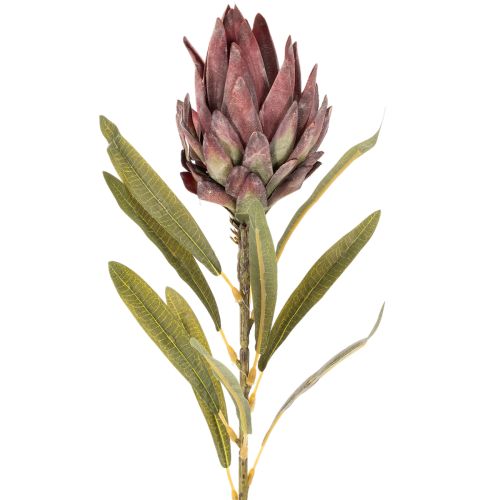 Protea Kunstblume Leucadendron