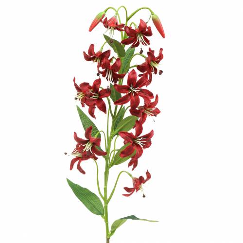 Lilie Rot 82cm