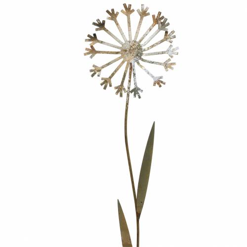 Floristik24 Gartenstecker Pusteblume Edelrost Metall Ø10 H49cm