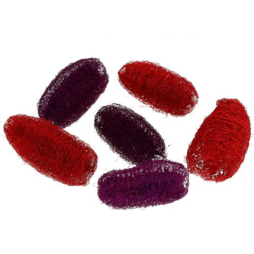 Luffa sortiert Violett, Weinrot 9cm – 12cm 50 St
