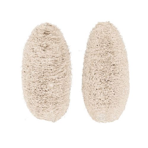 Artikel Luffa klein gebleicht 50 St