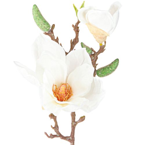 Floristik24 Magnolie Weiß Kunstblume Knospen Deko Zweig H40cm 2St