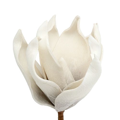 Floristik24 Magnolienblüte aus Foam Grau, Weiß Ø10cm L26cm 4St