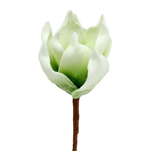 Magnolienblüte aus Foamstoff Weiß-Grün Ø10cm L26cm 4St