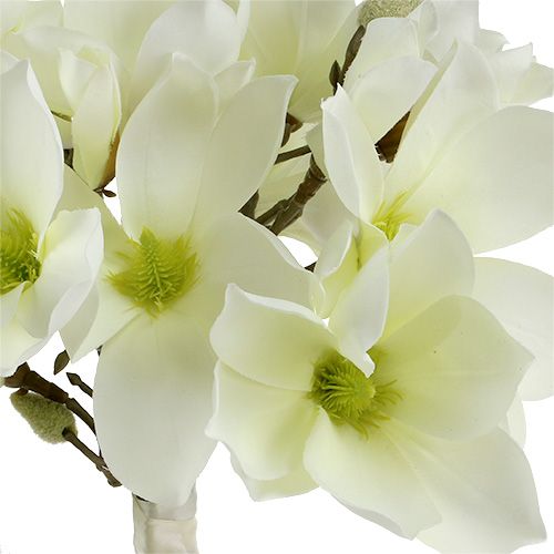Artikel Magnolienbund Weiß 40cm 5St