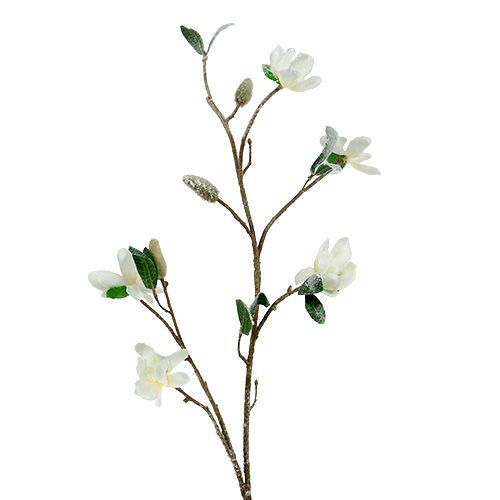 Magnolienzweig weiß L 82cm mit Schnee