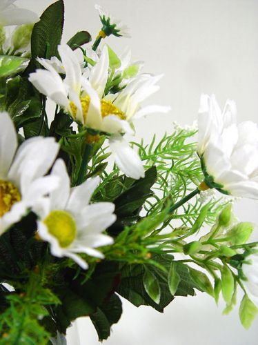 Floristik24 Margeritenstrauß klein