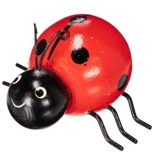 Artikel Marienkäfer Glückskäfer aus Holz als süße Dekoration im Haus 5cm 6St