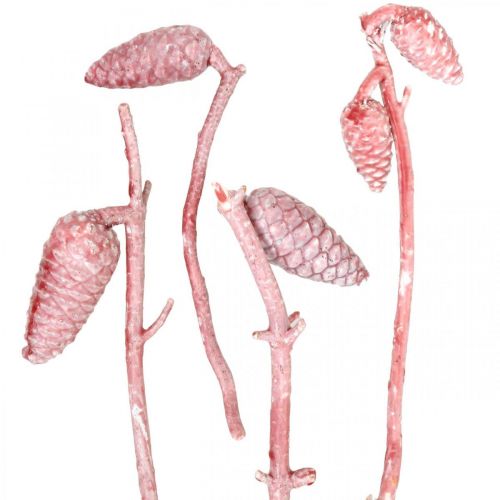 Maritimazapfen am Zweig Rosa/Weiß gewachst 400g