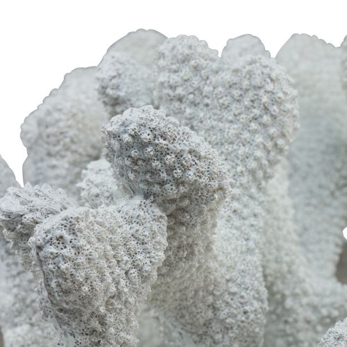 Floristik24 Maritime Deko Koralle Polyresin Weiß 38cm × 44cm × 27cm