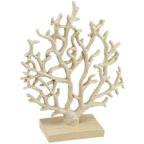Floristik24 Maritime Tischdeko Koralle Beige Deko Koralle Polyresin H20cm