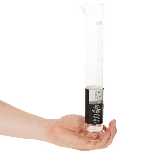 Messzylinder mit Sockel L Glaszylinder zur Anzucht 250ml 30cm | Floristik24.de