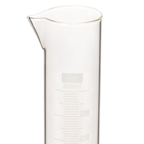 Messzylinder mit Sockel L Glaszylinder zur Anzucht 250ml 30cm | Floristik24.de