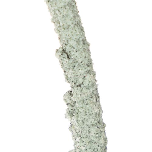 Dekoring rund auf Holzsockel Metall für Trockenblumen 52cm | Floristik24.de