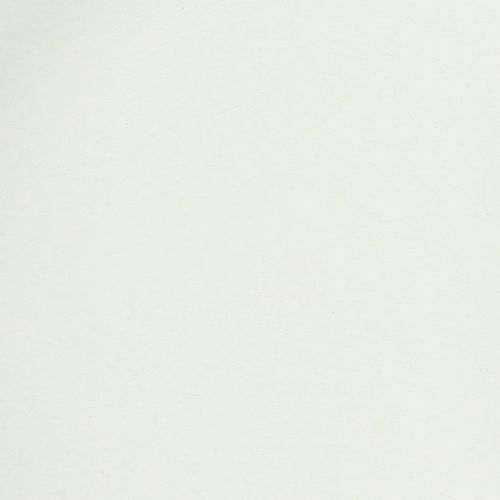 Artikel Tablett mit praktischen Griffen für vielseitige Nutzung im Haushalt und Gastronomie 22cm