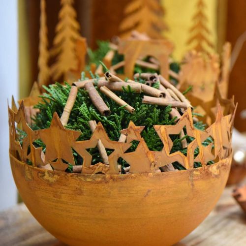 Floristik24 Metallschale mit Sternen, Weihnachtsdeko, Dekogefäß Edelrost Ø25cm H20,5cm