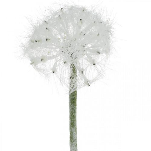 Floristik24 LED Pusteblume für Batterie Weiß Kunstblume Beleuchtung H50cm