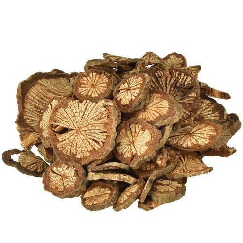 Floristik24 Mini Holzscheiben Betelnuss Deko mit Maserung 1-4,5cm 300g