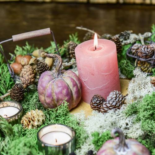 Floristik24 Mini-Kürbis-Set Orange, Flieder Ø6,5–7cm 6 St