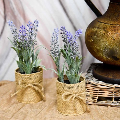 Floristik24.de Mini-Lavendel im Künstlicher Lavendel Kunstpflanzen Topf Deko-801146