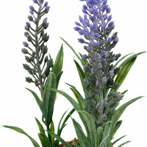 Floristik24 Mini-Lavendel im Topf Kunstpflanzen Künstlicher Lavendel Deko