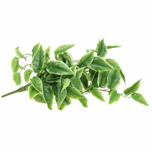 Floristik24 Weißrand-Funkie künstlich Grün, Weiß 100cm