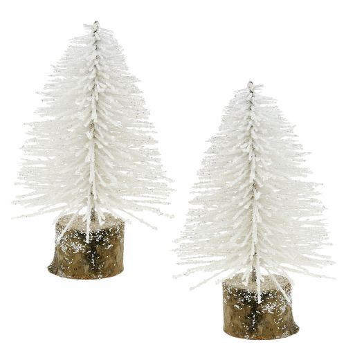 Floristik24 Mini-Weihnachtsbaum Weiß beglitzert 6St