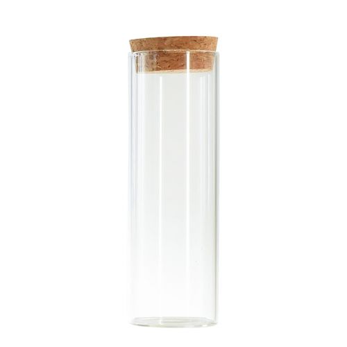 Minivasen Glas Reagenzglas Kork Deckel Ø4cm H12cm 6St