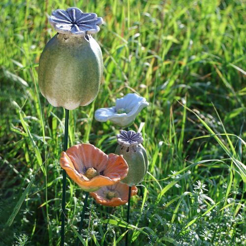 Artikel Mohnkapsel Gartenstecker Dekorationen für charmante Gartenarrangements 60cm 2St