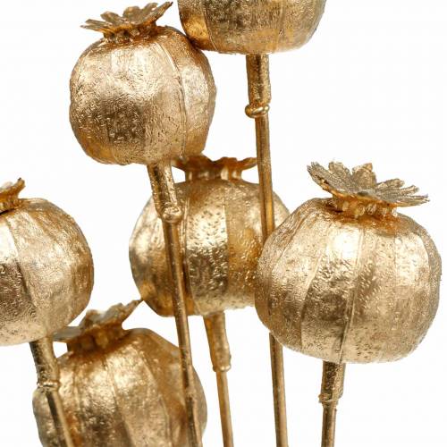 Floristik24 Mohnkapsel am Stab Golden 59cm 6St