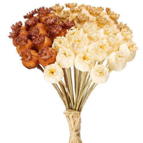 Trockenblumen künstlich Mohnkapseln Bund dreifarbig 40cm 45St | Floristik24.de