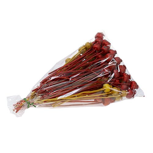 Floristik24 Mohnköpfe 3-farbig sortiert 100St