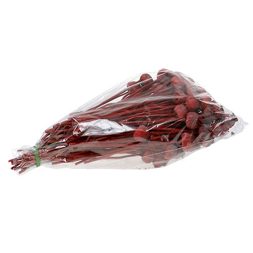 Floristik24 Mohnköpfe gefärbt Rot 100 St