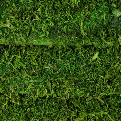 Artikel Deko Mooskranz für saisonale Arrangements und individuelle Gestaltung 15cm 6St