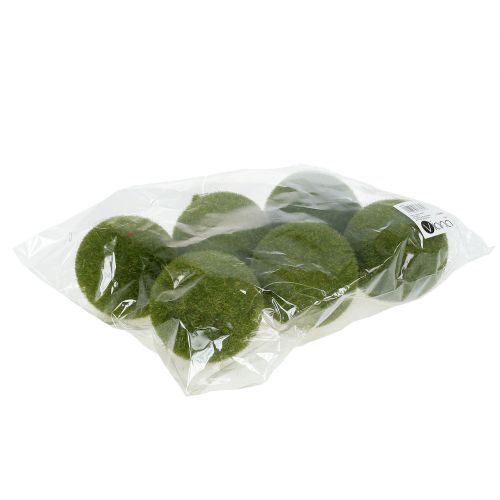 Floristik24 Mooskugel Ø8cm Grün 6St