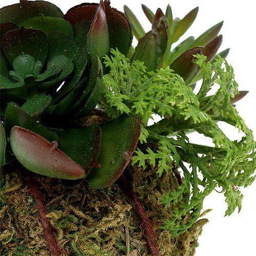 Floristik24 Kokedama Künstlich Grün Ø7cm