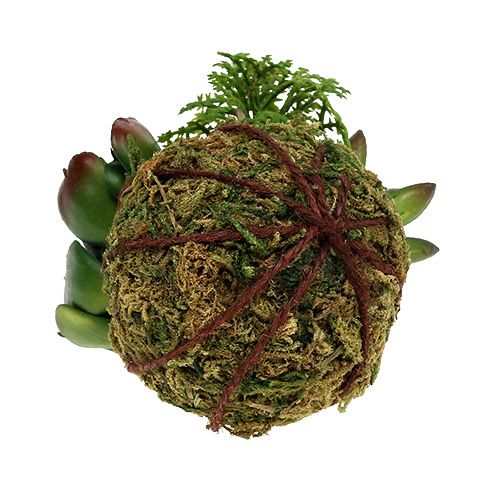 Floristik24 Kokedama Künstlich Grün Ø7cm